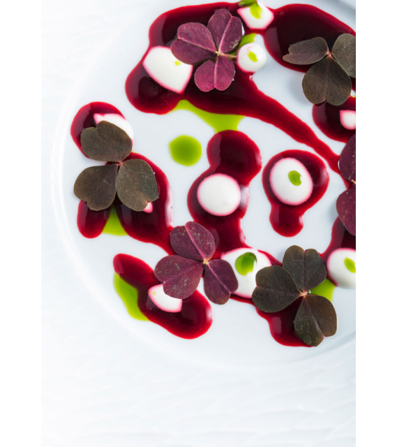 Restaurant Plage Privée Juan-Les-Pins · Hôtel Belles Rives